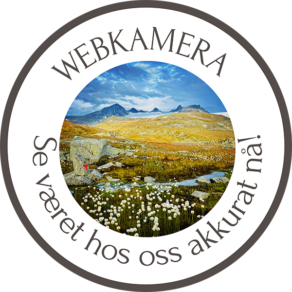 Webkamera_knapp